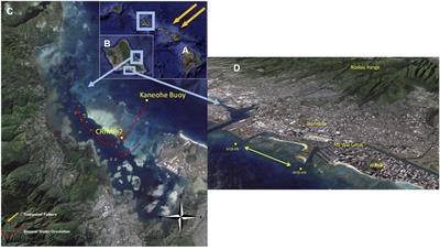 Hawaii Coastal Seawater CO2 Network: A Statistical Evaluation of a Decade of Observations on Tropical Coral Reefs